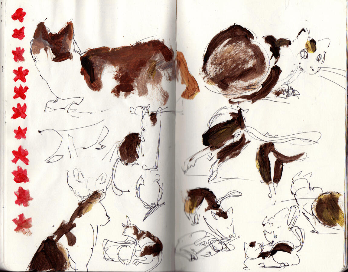 Sketches